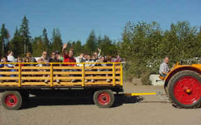 Hayride at Oregon Dunes KOA